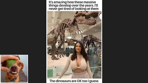 Memes That Will 99.0266% Make You Laugh. (e490)