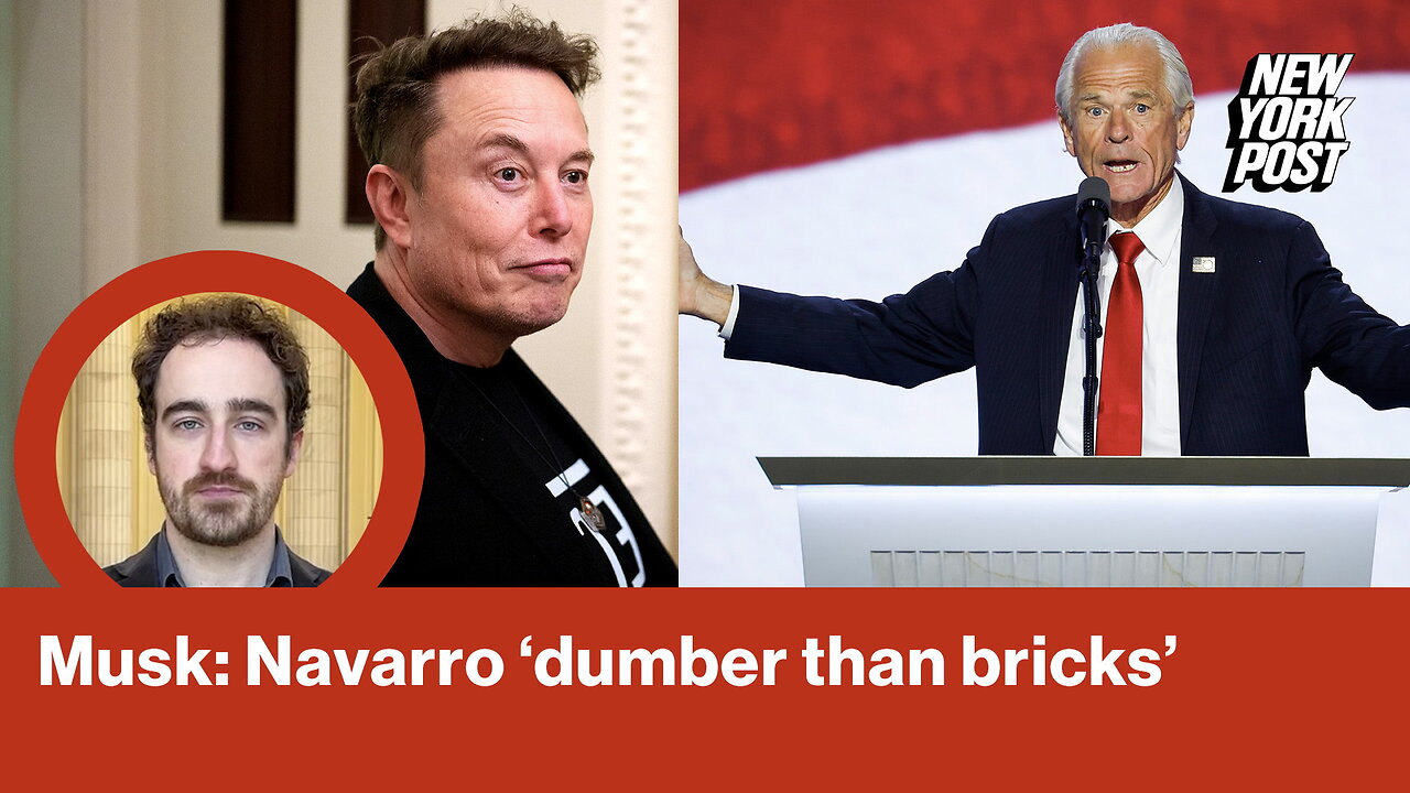 Musk: Navarro 'dumber than bricks' | Reporter Replay