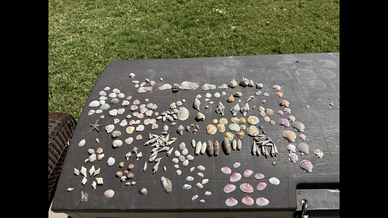 Beach Finds 3/21/2025 | 4K