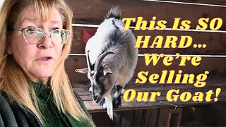 UNFORTUNATELY We Have To SELL Our GOAT!
