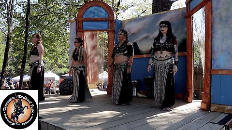 2024 Tennessee Medieval Faire
