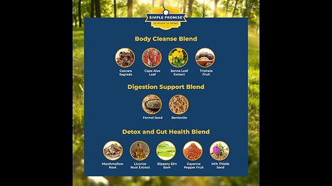 BellyFlush Ingredients EXPOSED 🔍 What’s REALLY Inside This Detox Formula