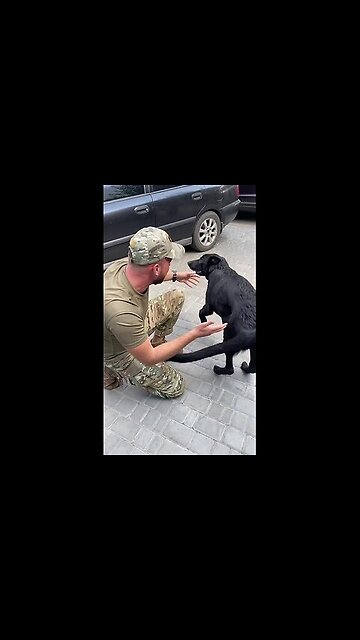 God bless Ukraine. Slava Ukraine.