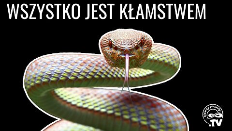 Wszystko jest kłamstwem