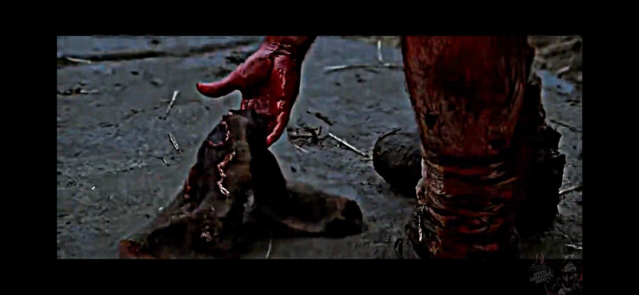 Braveheart - Notions Of Peace