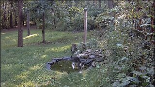 Funniest thing i've seen at the pond all year!