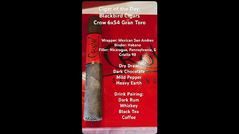Crow (Blackbird Cigars) 6x54 Gran Toro #CigarOfTheDay #Short #Shorts #Review #YTShorts