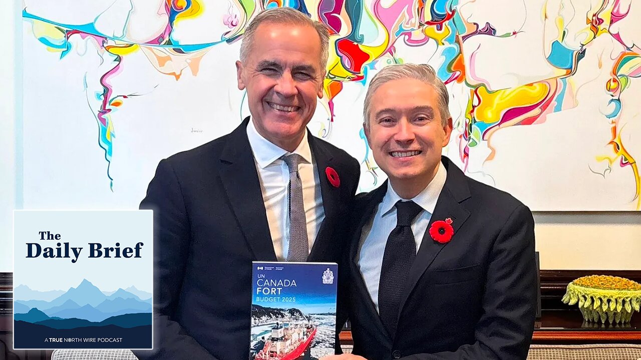 $7.1 billion in childcare went to non-permanent residents