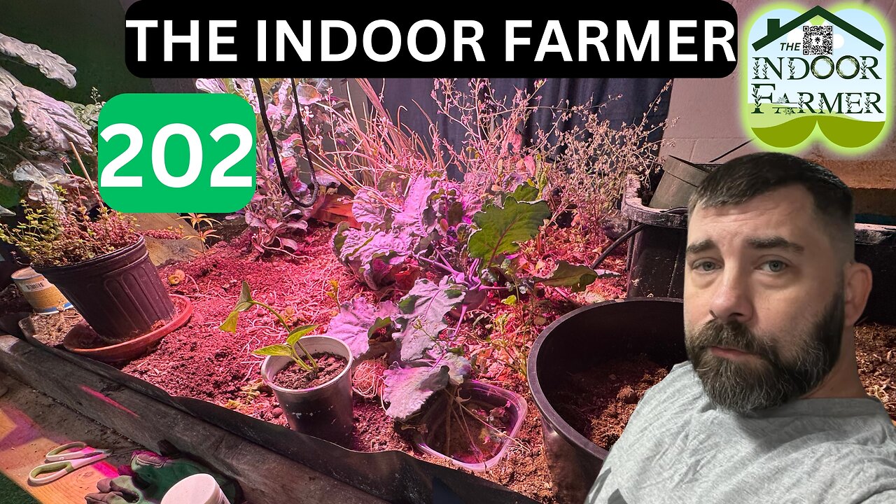 The Indoor Farmer ep 202, Tie Tie Tie Up The Ladies LOL. I also Flooded The Table, Let's Grow!