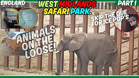 Travel And Adventure To West Midland's Safari Park | Part 1