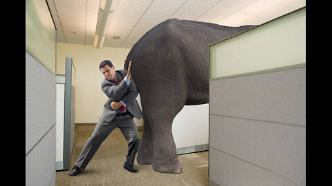 elephant in the dinarland room