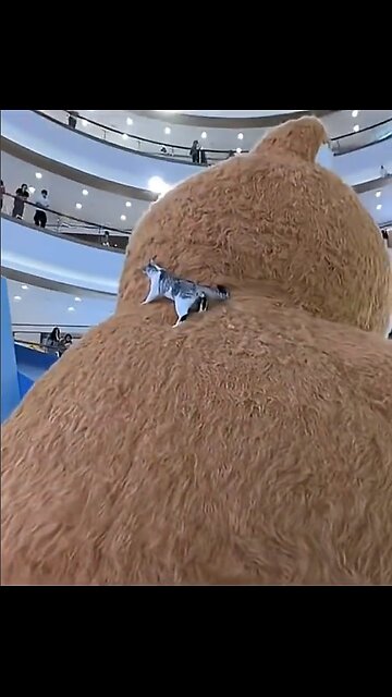 A curious cat found a good place to rest!