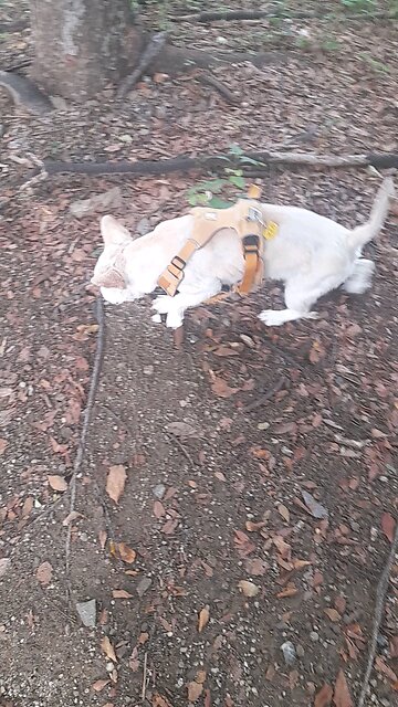 20250723. I Believe God.