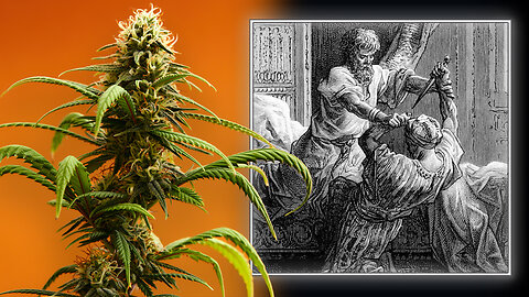 Michael Savage Exposes The Secret History Of Marijuana & The Hashish Assassins