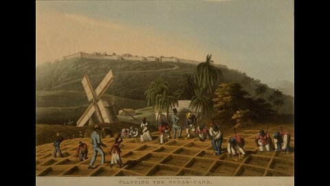 오히려 인공감미료아스파탐, 액상과당이 건강에 더해로우며, 태음인에게 좋은 설탕세 도입은 기만이다