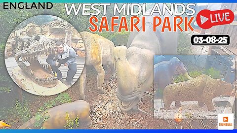 West Midlands Safari Park (LIVE)