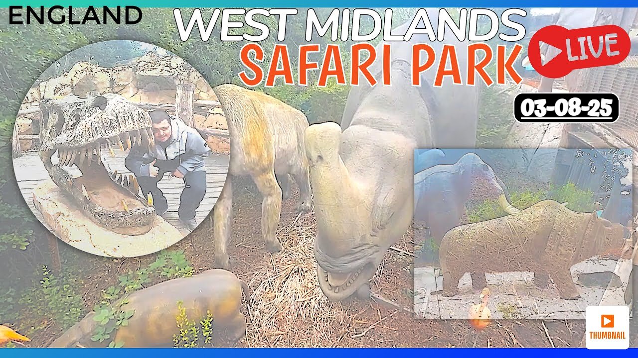 West Midlands Safari Park (LIVE)