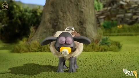 Shaun the sheep Cartoons