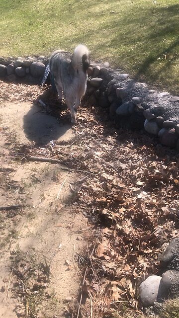 Sunday April 27, Out of the stump of David’s family.