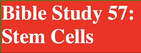 Bible Study 57: Stem Cells