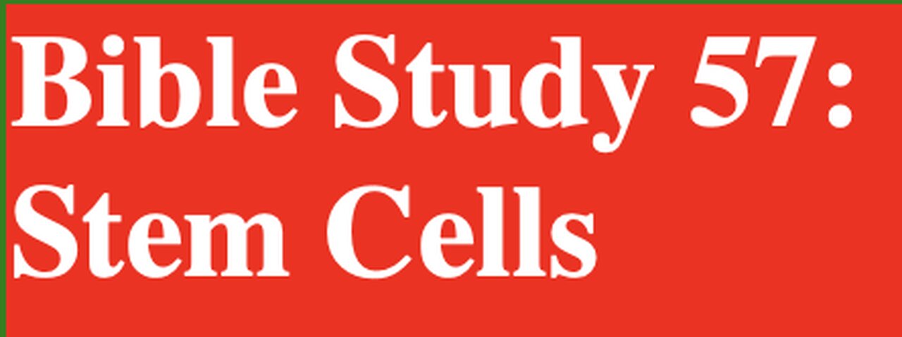 Bible Study 57: Stem Cells