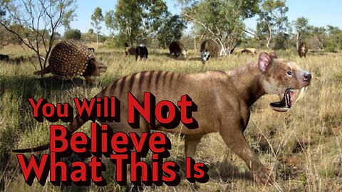 Saber-Toothed Destruction... Does Death Come Quickly???