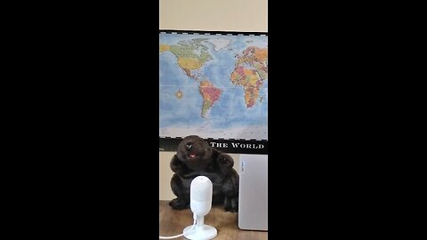 Chopper Says Macron Sucks