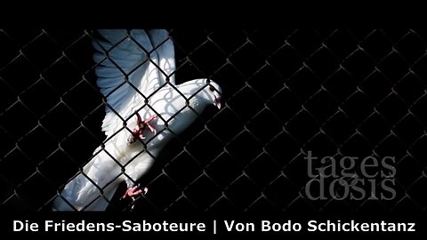 Die Friedens-Saboteure