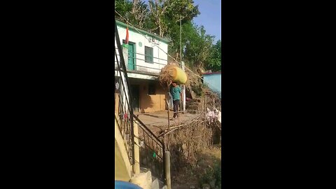 satisfying Video