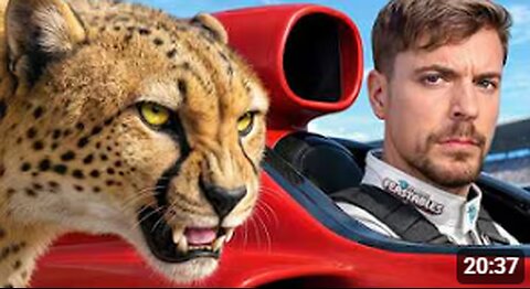 World's Fastest Car Vs Cheetah!