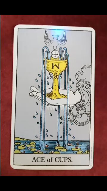 The Tarot Card of The Day: The Ace of Cups