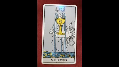 The Tarot Card of The Day: The Ace of Cups