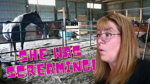 I HEARD Penny SCREAMING And I Wend RUNNING!