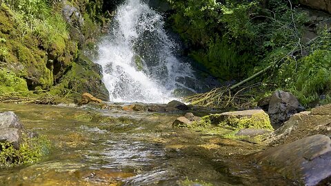 Route of the Hiawatha Scenic Mtn Bike Trail