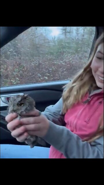 Girl sneaks up, picks up abandoned baby owl, wants to keep it as a pet