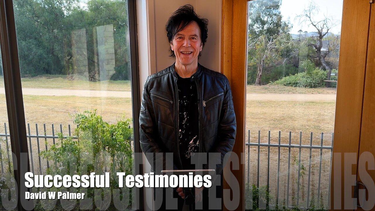 "Successful Testimonies" - David W Palmer (2025)