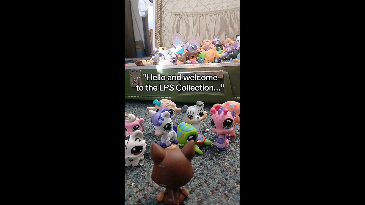 Adding New LPS to the Collection be like: