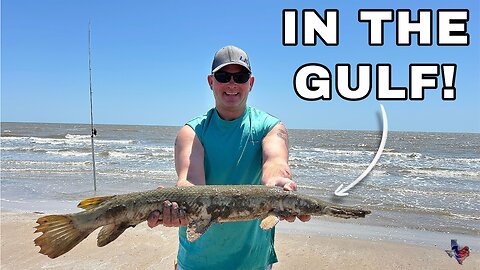 Fighting Alligator Gar in the Gulf of America!