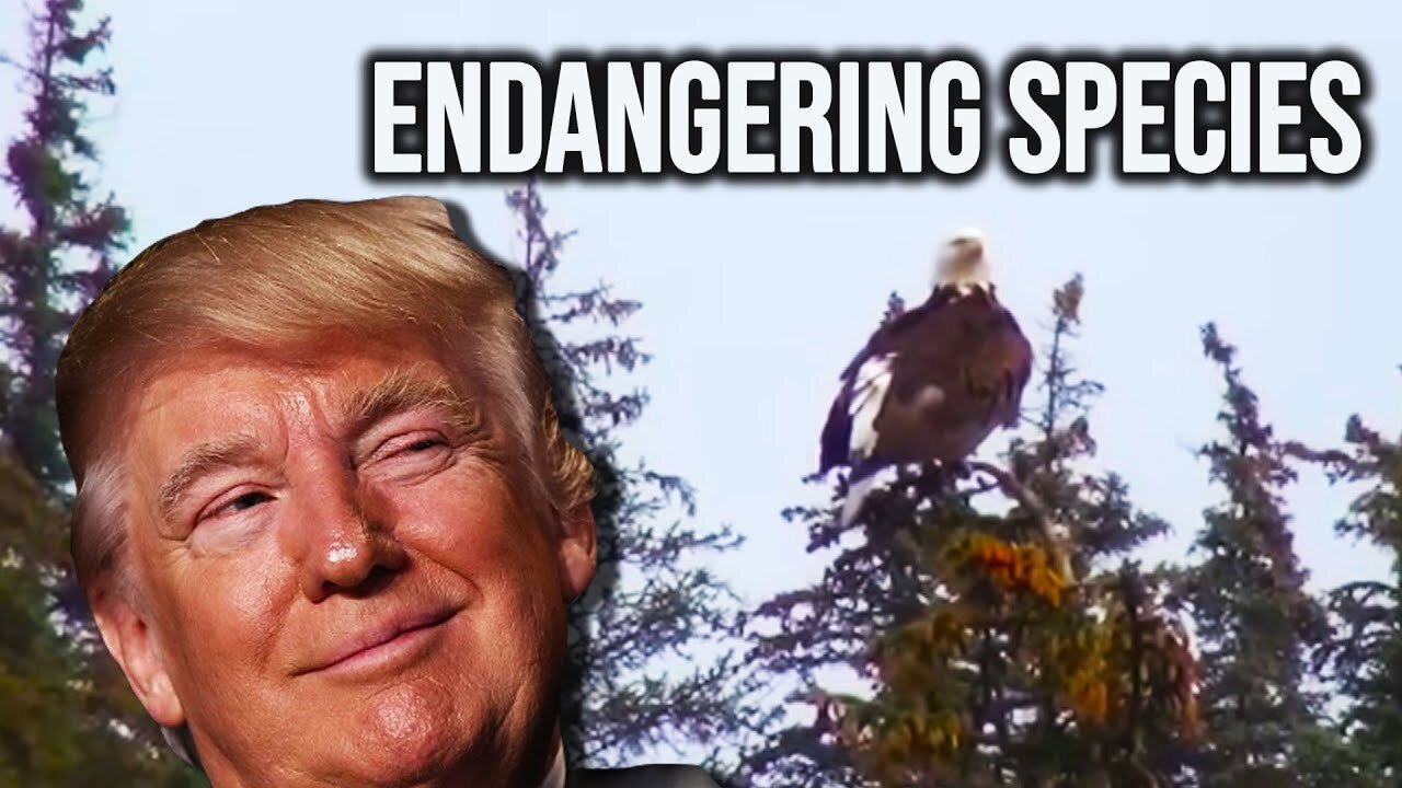 Trump Declares War On Endangered Species