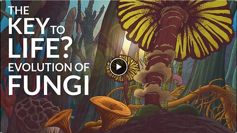 The Key to Life - Evolution of Fungi