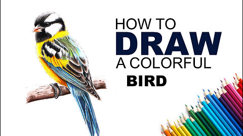 How To Draw a Colourful Sparrow Using Cheap Colour Pencils.
