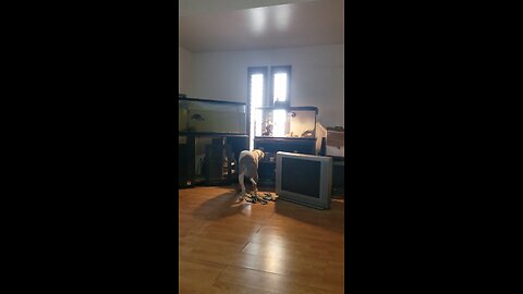 inside