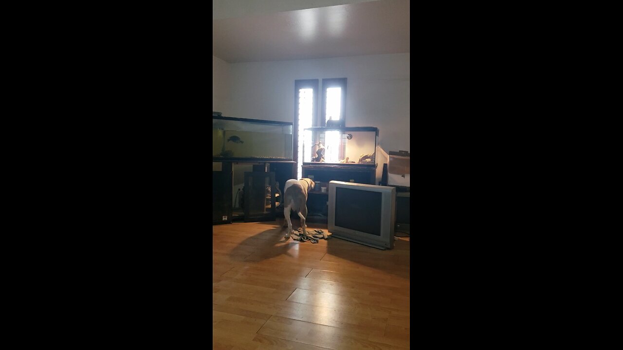 inside