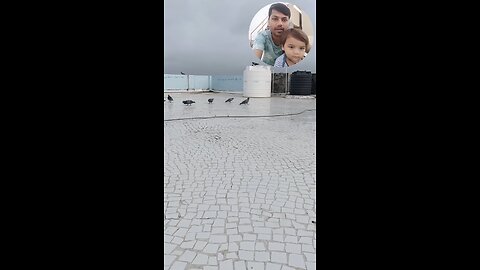 jivdaya mehsana YouTube short video # #sarbebhabantusukhinah #cutebaby