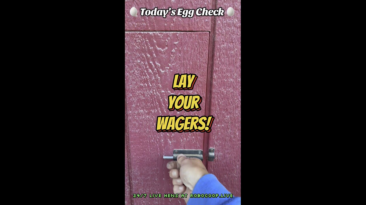 🥚 Today’s Egg Check! 🥚 #shorts