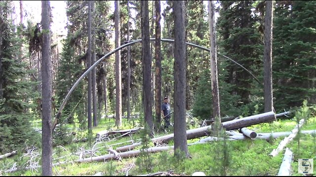 Into the VALLEY of the GIANTS!!/ DUKE & Johnny C
