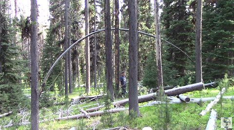 Into the VALLEY of the GIANTS!!/ DUKE & Johnny C