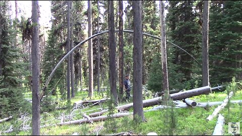 Into the VALLEY of the GIANTS!!/ DUKE & Johnny C