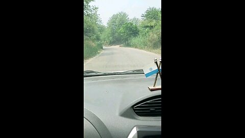 satisfying Video