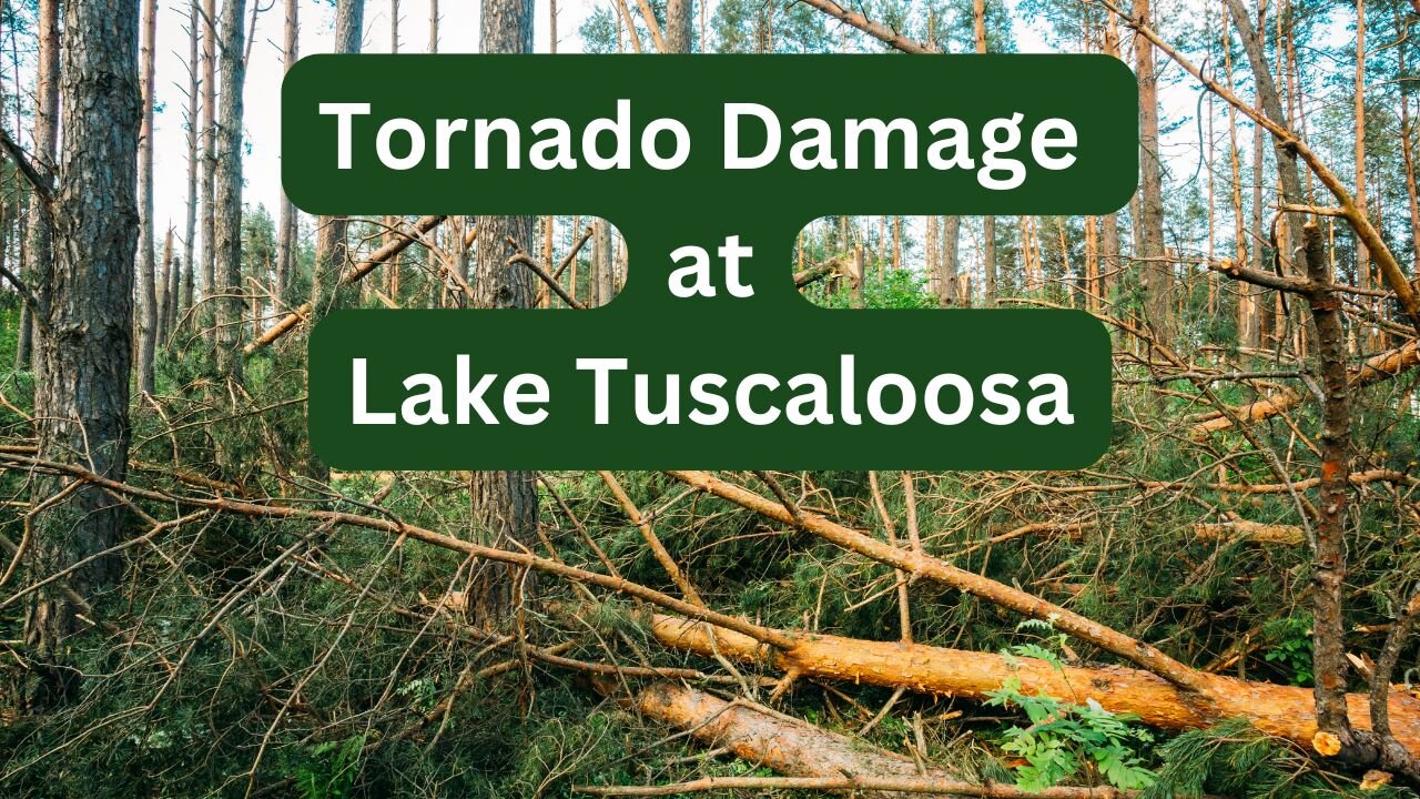 Lake Tuscaloosa Tornado Damage - March 15, 2025. #ASMR